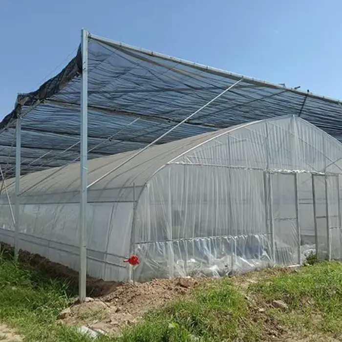 Film de serre agricole multi-spans à longue durée de vie, transparent en PE, pour la plantation de l