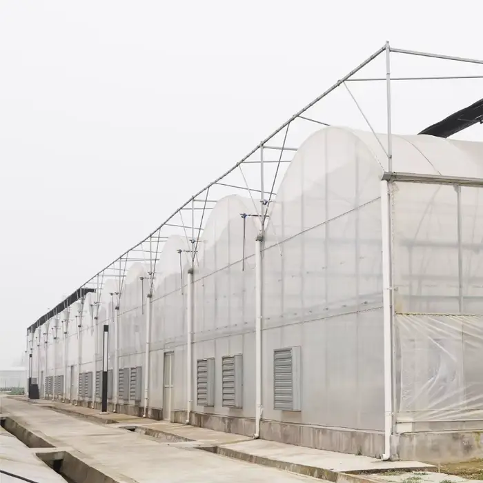 Kit de serre agricole commerciale GT Tomato, cadre en plastique, film plastique, serre multi-spans à