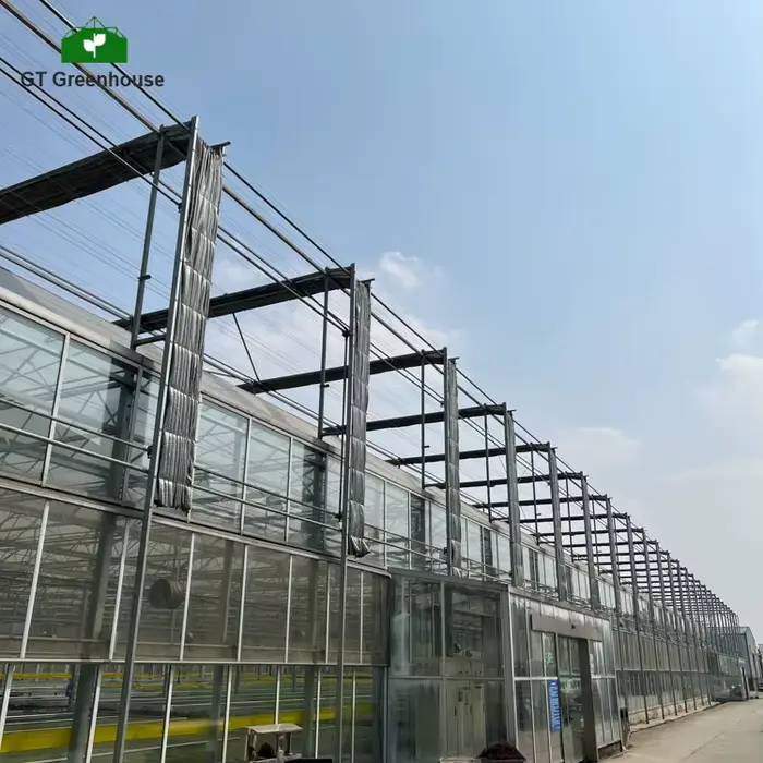 Panneaux solaires transparents en verre personnalisés pour serres, vente en gros en Chine, GT Agricu