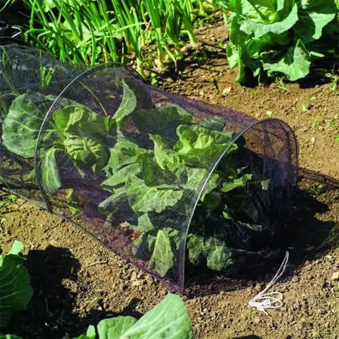Tunnel de plantation agricole en maille de 3 mètres avec couverture en plastique (support non inclus) – Filet