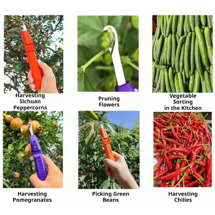 Mini sécateur portable pour la taille et la cueillette des fruits avec couvercle de protection