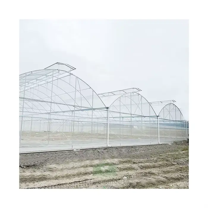 Serre en plastique multi-voûtes de grande taille pour l'agriculture commerciale, cadre en métal, ser