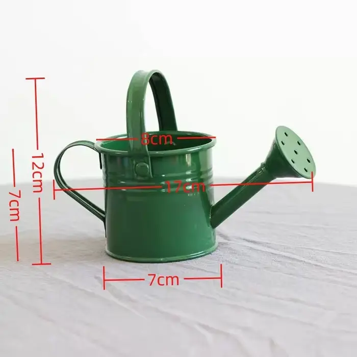 Arrosoir en métal pour jardin-Mini petit pot pulvérisateur