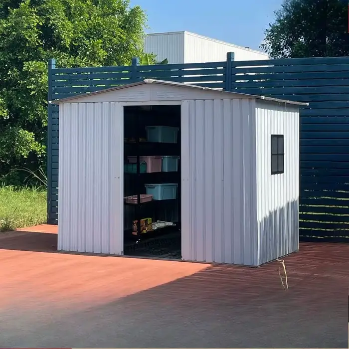 Grande hangar de rangement extérieur 6X6 pieds